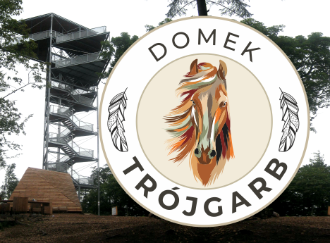 Zagroda Szamana - domek Trójgarb